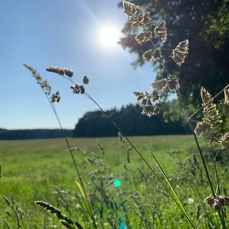 Ferienwohnung Nationalpark *